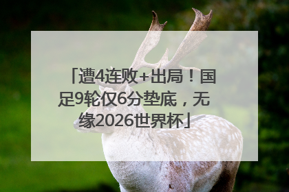 遭4连败+出局！国足9轮仅6分垫底，无缘2026世界杯