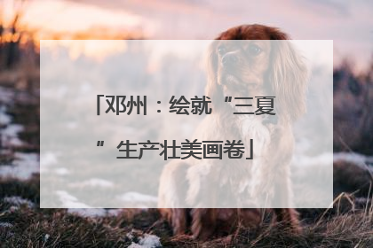 邓州：绘就“三夏”生产壮美画卷