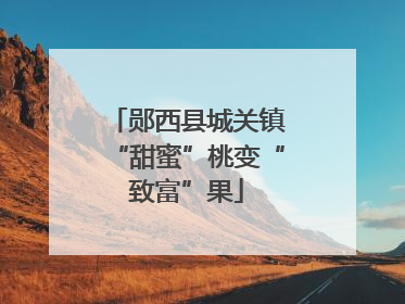 郧西县城关镇“甜蜜”桃变“致富”果