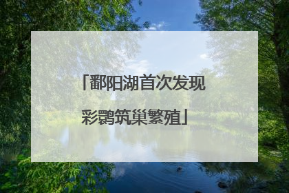 鄱阳湖首次发现彩鹮筑巢繁殖