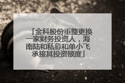 金科股份重整更换一家财务投资人，海南陆和私募和单小飞承接其投资额度