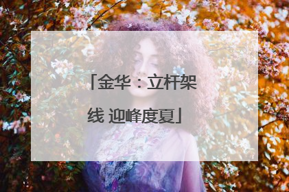 金华：立杆架线 迎峰度夏