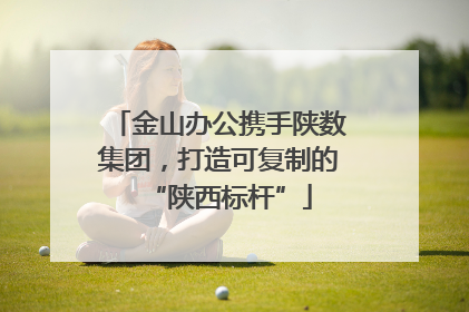 金山办公携手陕数集团，打造可复制的“陕西标杆”