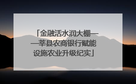 金融活水润大棚——莘县农商银行赋能设施农业升级纪实
