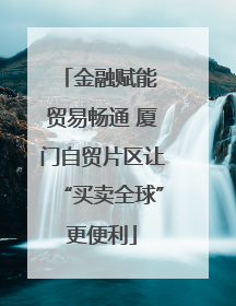 金融赋能 贸易畅通 厦门自贸片区让“买卖全球”更便利