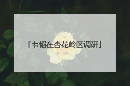 韦韬在杏花岭区调研