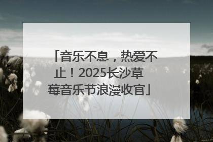音乐不息，热爱不止！2025长沙草莓音乐节浪漫收官
