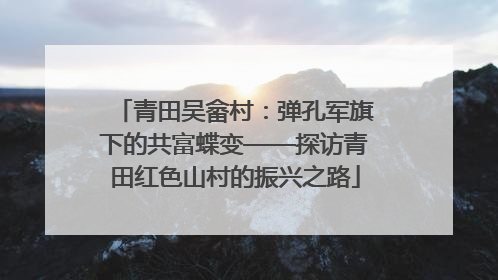 青田吴畲村：弹孔军旗下的共富蝶变——探访青田红色山村的振兴之路