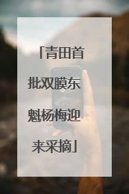 青田首批双膜东魁杨梅迎来采摘