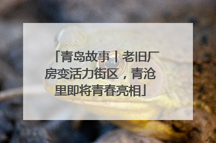 青岛故事丨老旧厂房变活力街区，青沧里即将青春亮相