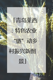 青岛莱西：特色农业“链”动乡村振兴新图景