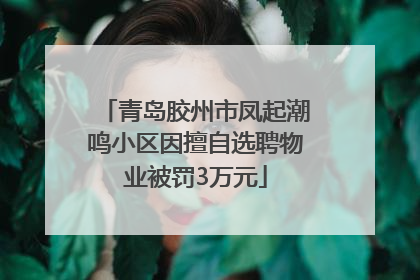 青岛胶州市凤起潮鸣小区因擅自选聘物业被罚3万元