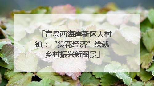 青岛西海岸新区大村镇：“赏花经济”绘就乡村振兴新图景