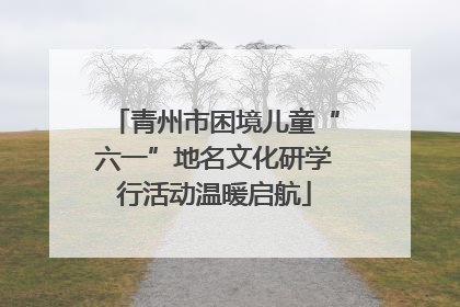 青州市困境儿童“六一”地名文化研学行活动温暖启航