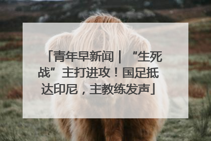 青年早新闻｜“生死战”主打进攻！国足抵达印尼，主教练发声