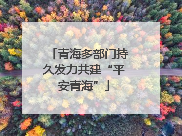 青海多部门持久发力共建“平安青海”
