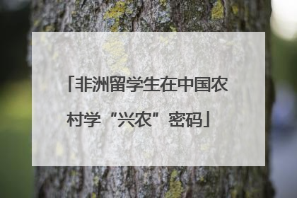 非洲留学生在中国农村学“兴农”密码
