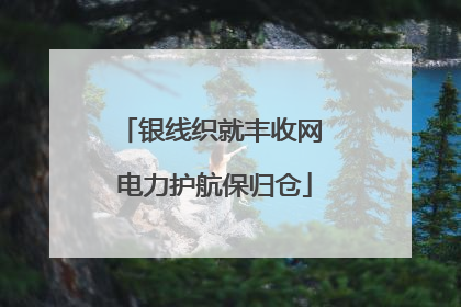 银线织就丰收网 电力护航保归仓