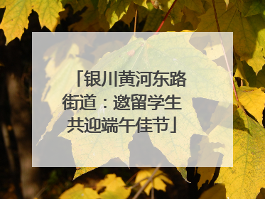 银川黄河东路街道：邀留学生共迎端午佳节