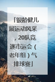 银龄健儿展运动风采，20队竞逐市运会（老年组）气排球赛