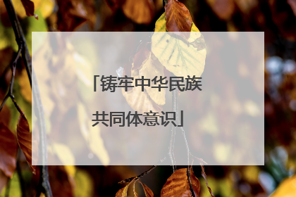 铸牢中华民族共同体意识