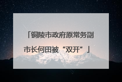 铜陵市政府原常务副市长何田被“双开”