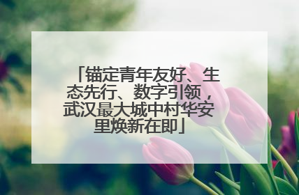 锚定青年友好、生态先行、数字引领，武汉最大城中村华安里焕新在即