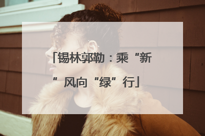 锡林郭勒：乘“新”风向“绿”行
