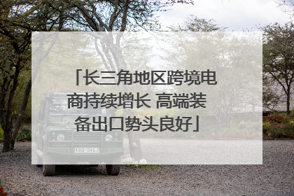 长三角地区跨境电商持续增长 高端装备出口势头良好