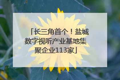 长三角首个！盐城数字视听产业基地集聚企业113家