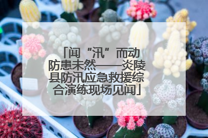 闻“汛”而动 防患未然——炎陵县防汛应急救援综合演练现场见闻