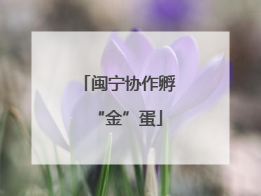 闽宁协作孵“金”蛋