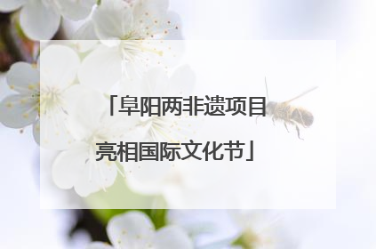 阜阳两非遗项目亮相国际文化节