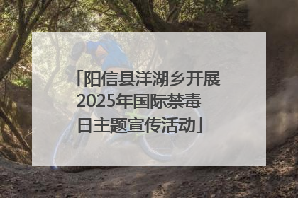 阳信县洋湖乡开展2025年国际禁毒日主题宣传活动