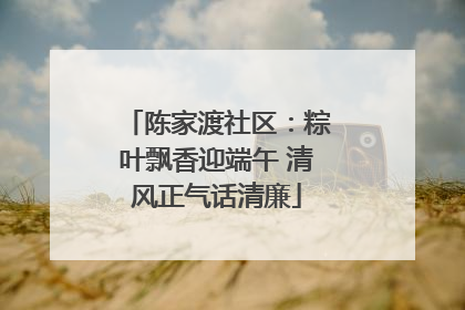 陈家渡社区：粽叶飘香迎端午 清风正气话清廉