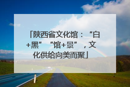 陕西省文化馆：“白+黑”“馆+景”，文化供给向美而聚