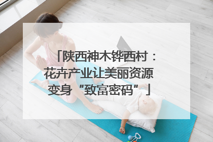 陕西神木铧西村：花卉产业让美丽资源变身“致富密码”