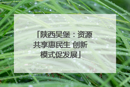 陕西吴堡：资源共享惠民生 创新模式促发展