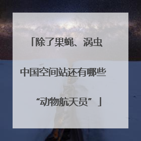 除了果蝇、涡虫 中国空间站还有哪些“动物航天员”