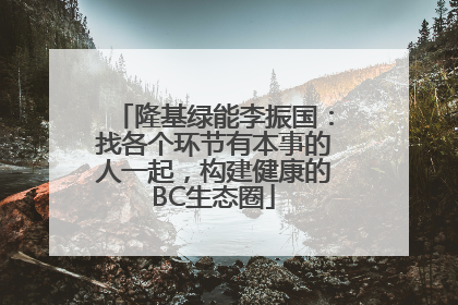 隆基绿能李振国：找各个环节有本事的人一起，构建健康的BC生态圈