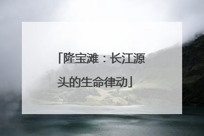 隆宝滩：长江源头的生命律动