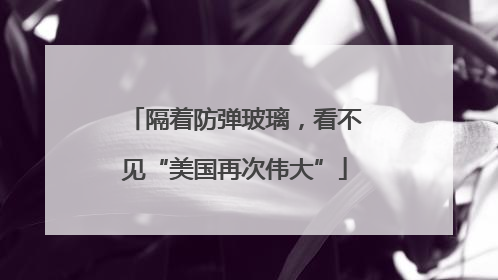 隔着防弹玻璃，看不见“美国再次伟大”