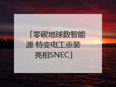 零碳地球数智能源 特变电工重装亮相SNEC