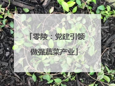 零陵：党建引领 做强蔬菜产业