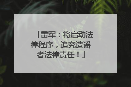 雷军：将启动法律程序，追究造谣者法律责任！