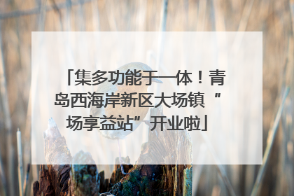 集多功能于一体！青岛西海岸新区大场镇“场享益站”开业啦
