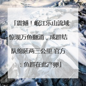 震撼！岷江乐山流域惊现万鱼翻涌，成群结队绵延两三公里 官方：鱼群在此产卵