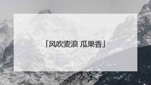 风吹麦浪 瓜果香