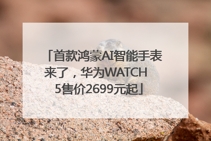 首款鸿蒙AI智能手表来了，华为WATCH 5售价2699元起