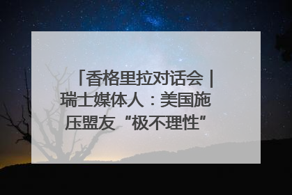 香格里拉对话会｜瑞士媒体人：美国施压盟友“极不理性” 欧洲国家无意与中国“脱钩断链”